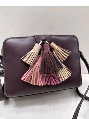Rebecca Minkoff Sofia Dark Cherry Mini Leather Crossbody Bag New